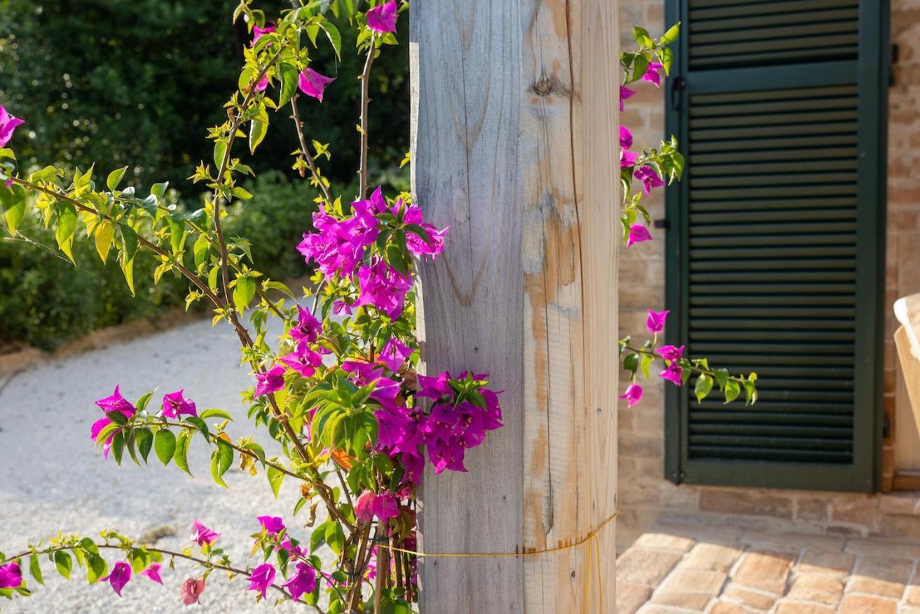 Casa Raffaela, Charming Villa With A Nice Pool Monte Giberto Exterior foto